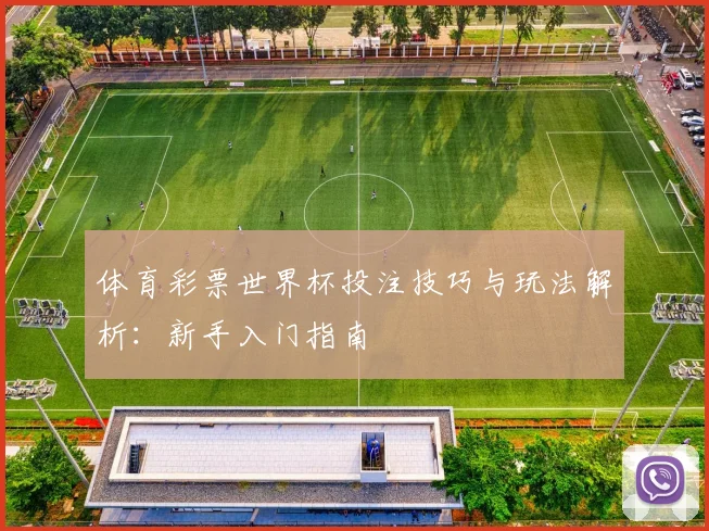 体育彩票世界杯投注技巧与玩法解析:新手入门指南